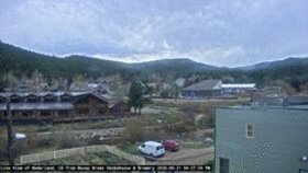 Busey Brews Neder... animated GIF