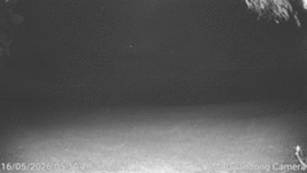 Mt Quandong Camera animated GIF