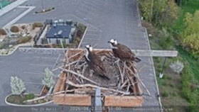 Sandpoint Online ... animated GIF