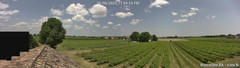 view from Boncellino Nord on 2025-06-06