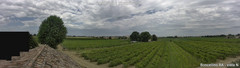 view from Boncellino Nord on 2025-07-24