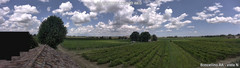 view from Boncellino Nord on 2025-07-30
