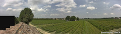 view from Boncellino Nord on 2025-08-20