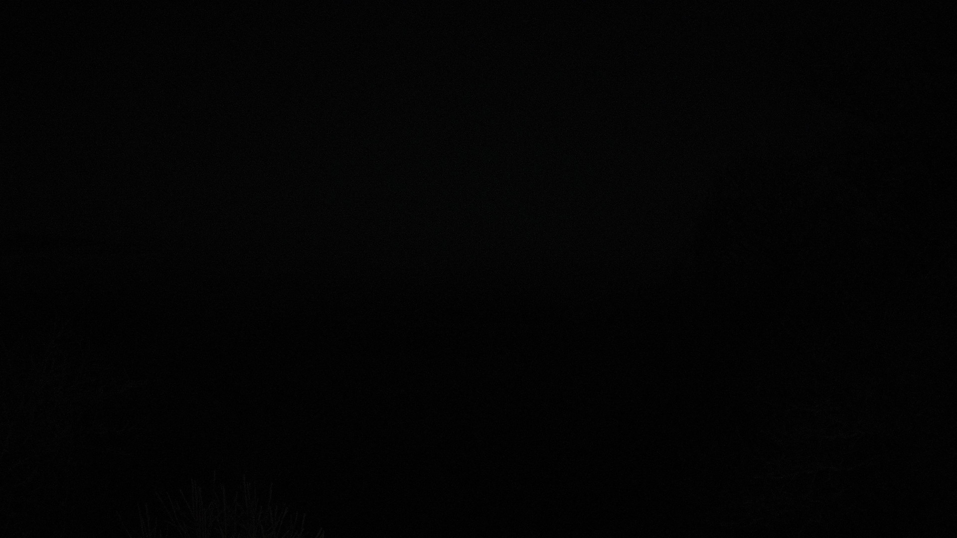 time-lapse frame, Sunrise after the Jan 2024 webcam
