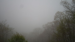 view from Sterchi Lodge on 2025-05-09