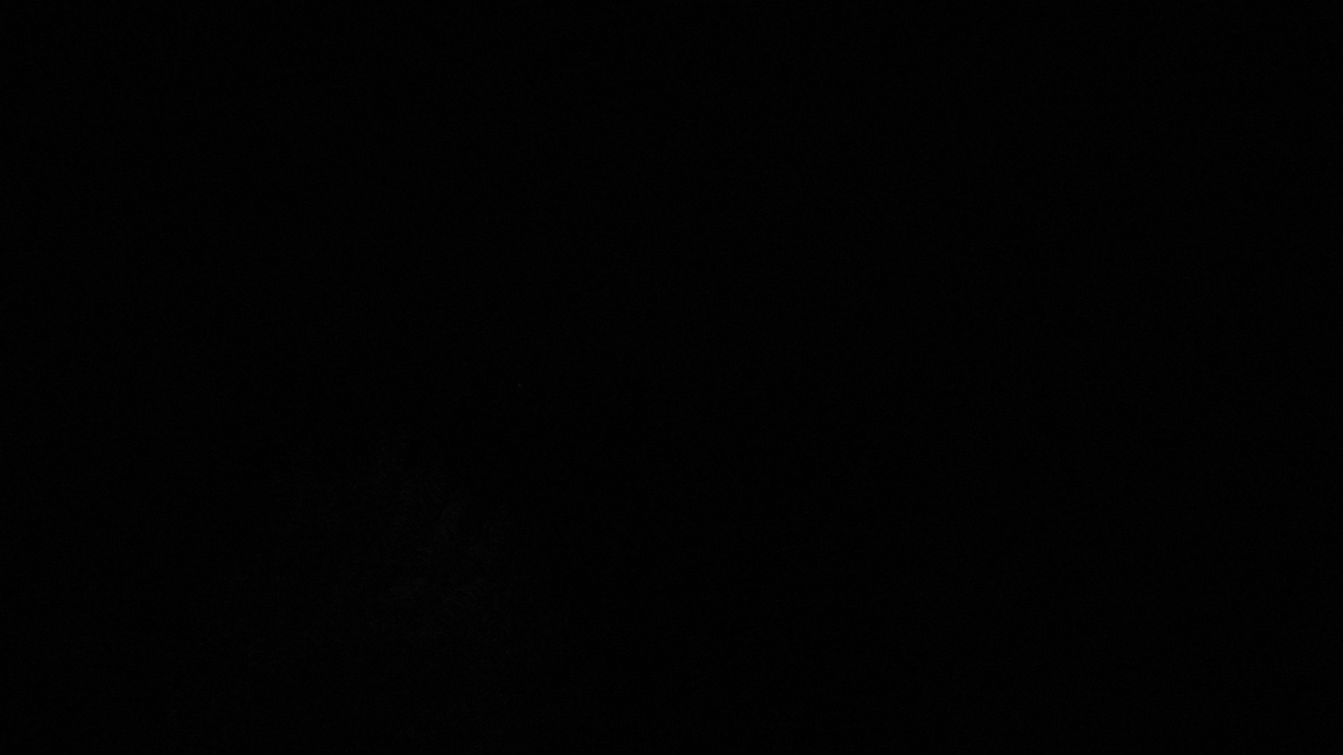 time-lapse frame, Sterchi Lodge webcam