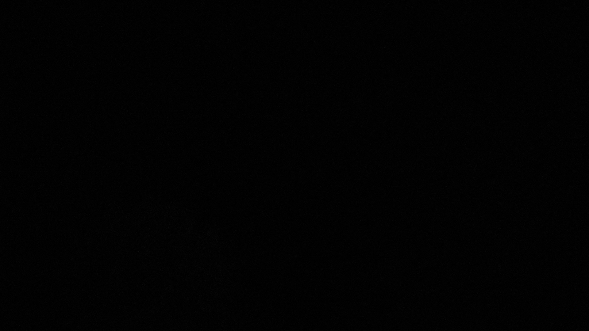 time-lapse frame, Sterchi Lodge webcam