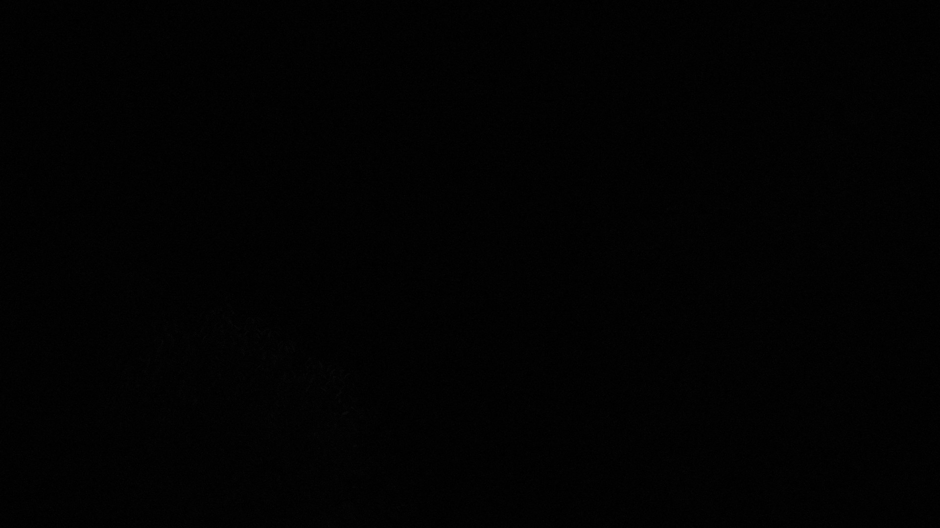 time-lapse frame, Sterchi Lodge webcam