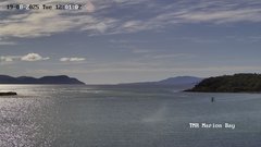 view from TMR - Marion Bay on 2025-08-19