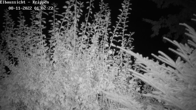 time-lapse frame, Webcam in Bad Schandau Sächsische Schweiz webcam