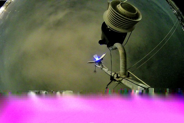 time-lapse frame, Oss. Met. di Gabicce Mare  Puntamento Zenith webcam