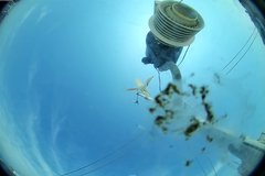 view from Oss. Met. di Gabicce Mare  Puntamento Zenith on 2026-04-10