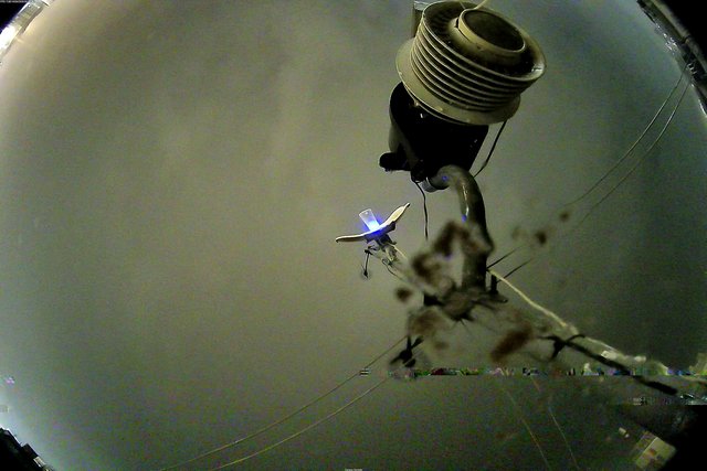 time-lapse frame, Oss. Met. di Gabicce Mare  Puntamento Zenith webcam