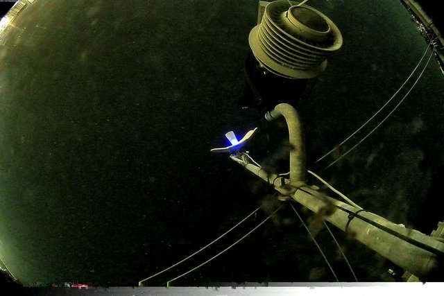 time-lapse frame, Oss. Met. di Gabicce Mare  Puntamento Zenith webcam