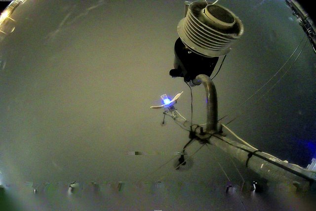 time-lapse frame, Oss. Met. di Gabicce Mare  Puntamento Zenith webcam