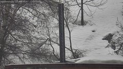 view from Alpe di Mera - Nivometro on 2026-04-13