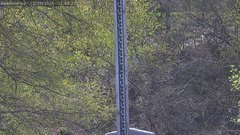 view from Alpe di Mera - Nivometro on 2026-05-17
