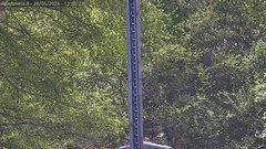 view from Alpe di Mera - Nivometro on 2026-05-24