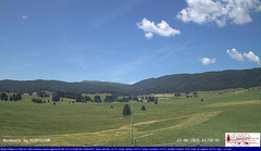view from Pian Cansiglio - Agriturismo Malga Filippon on 2025-06-27
