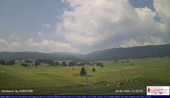 view from Pian Cansiglio - Agriturismo Malga Filippon on 2026-06-20