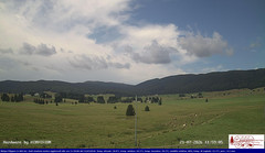 view from Pian Cansiglio - Agriturismo Malga Filippon on 2026-07-21