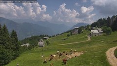 view from Alpe di Mera - Mera bassa on 2025-06-20