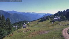 view from Alpe di Mera - Mera bassa on 2025-07-01