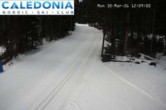 view from CNSC_4: Picadilly Access on 2026-03-30