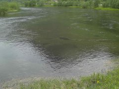 view from Borgundseelva on 2025-06-04