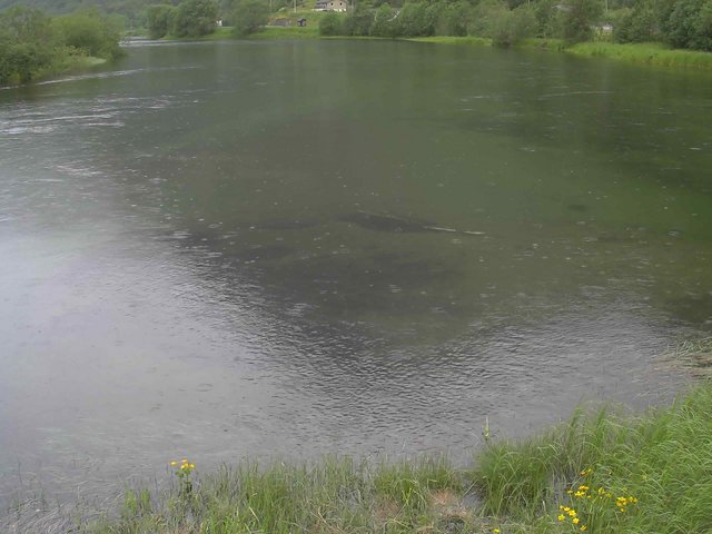time-lapse frame, Borgundseelva webcam