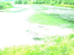view from Borgundseelva on 2025-07-28