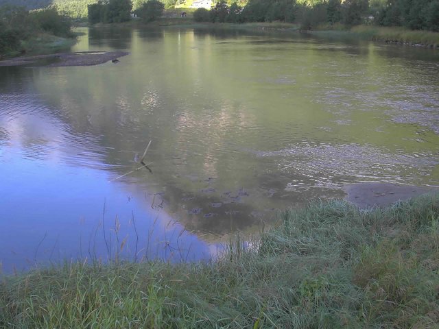 time-lapse frame, Borgundseelva webcam