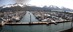 view from Seward Harbor on 2025-06-18