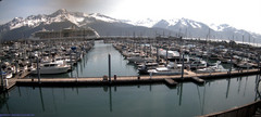 view from Seward Harbor on 2025-06-20