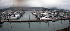 view from Seward Harbor on 2025-06-24