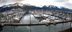 view from Seward Harbor on 2025-06-29