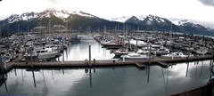 view from Seward Harbor on 2025-07-06