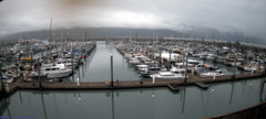 view from Seward Harbor on 2025-07-09
