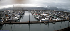 view from Seward Harbor on 2025-07-09