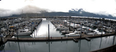 view from Seward Harbor on 2025-07-09