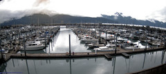 view from Seward Harbor on 2025-07-09