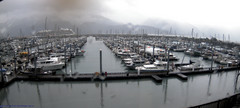 view from Seward Harbor on 2025-08-27