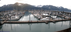 view from Seward Harbor on 2025-08-31