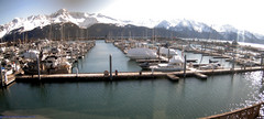 view from Seward Harbor on 2026-04-14