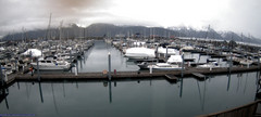 view from Seward Harbor on 2026-04-16