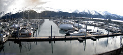view from Seward Harbor on 2026-04-18