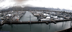 view from Seward Harbor on 2026-05-02