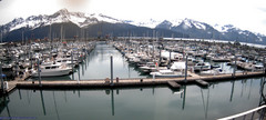 view from Seward Harbor on 2026-06-09