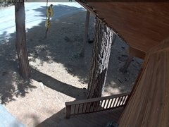 view from Tahoe Woods on 2025-05-10