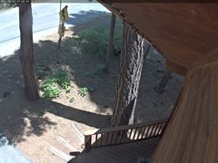 view from Tahoe Woods on 2025-06-06